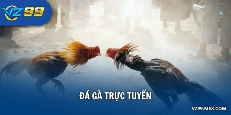 Đá Gà Trực Tuyến