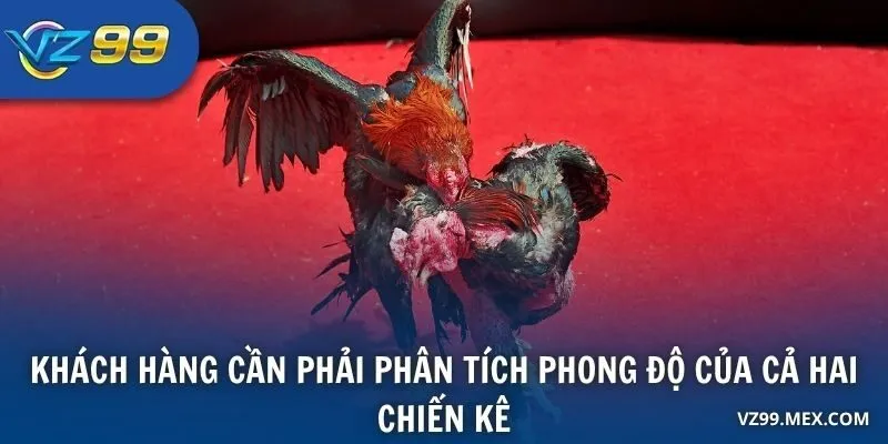 Khách hàng cần phải phân tích phong độ của cả hai chiến kê