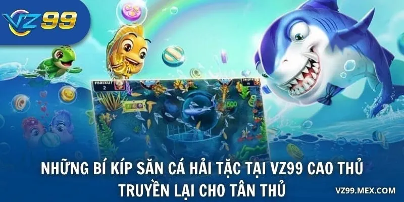 Những bí kíp săn cá hải tặc tại VZ99 cao thủ truyền lại cho tân thủ